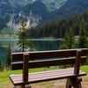nature14362