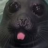 babysnatcher02