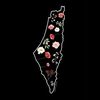 ammara4956