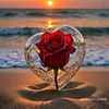 fatema.akhter497