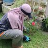 awrafarm
