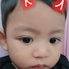 icha8331