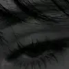 nadia.mirazizi