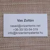 rasadcrizanteme.n