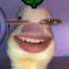 inpolah