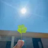 baositing64