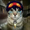 nolizavtra6