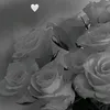 chlo_ee57