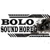 bolo.sound.horeg