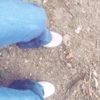 marifer._.3