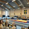 elsaalmqvist12