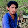 amirali80416