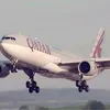 الطير المهاجر
