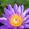 kelum.deshappriya5