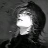 cpyysn1