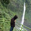 anggiskibidi