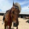 ccwfarmer
