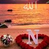 user6815820118041