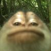 anggunwnda