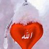 user25010534522484