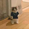 el.gato.2.07