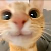 nana_imup57