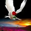 rangdol.delek