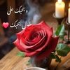 user83121734511112