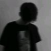 limonisalm01