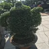 ltt291110