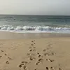 lily_xo_dance