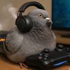 randomchild29