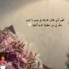 tnton428