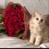 user9826861959855