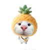 shaa._754