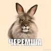user2107521374