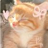 user_a5615