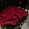 fayrouz_amr11
