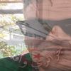 wahiddebah