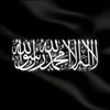 user3334816160395