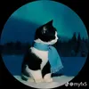 metabeta54