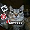 whtyxxs.editor