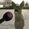 inkyhands7