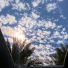 yasmineyasmine0526