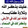 user678769052
