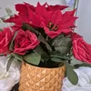 duajaaniofficial