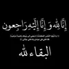 user582211928223937