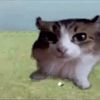 skitlles11