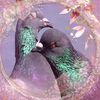 sparklingspirals8