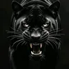 user376sh